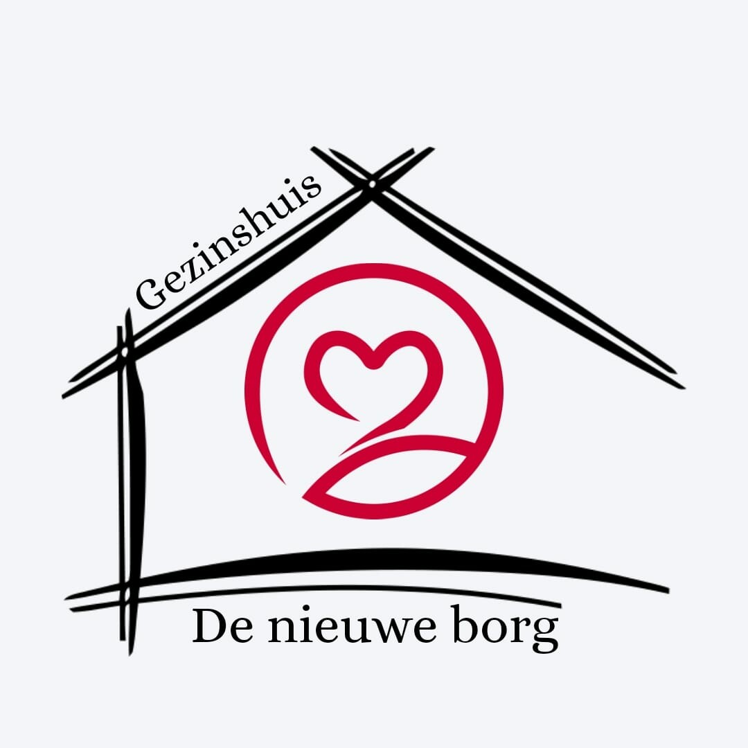 de-nieuwe-borg-logo
