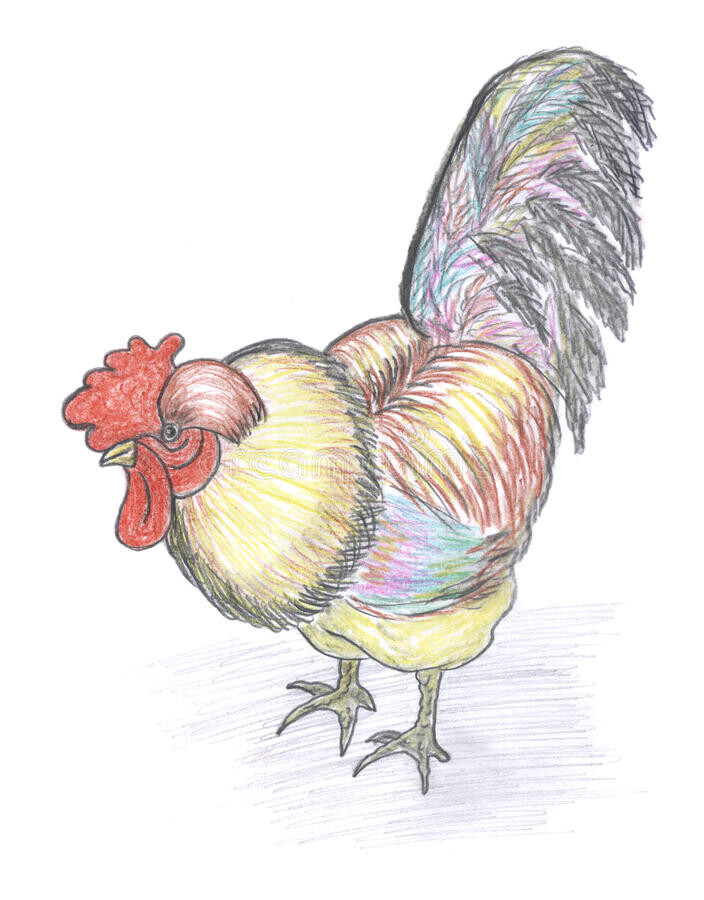 gekleurde-schets-van-haan-12282154